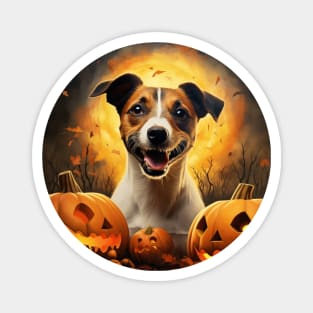 Pumpkin Halloween Jack Russell terrier Magnet